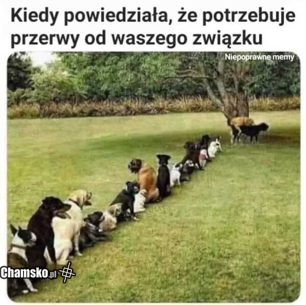 Przerwa w związku