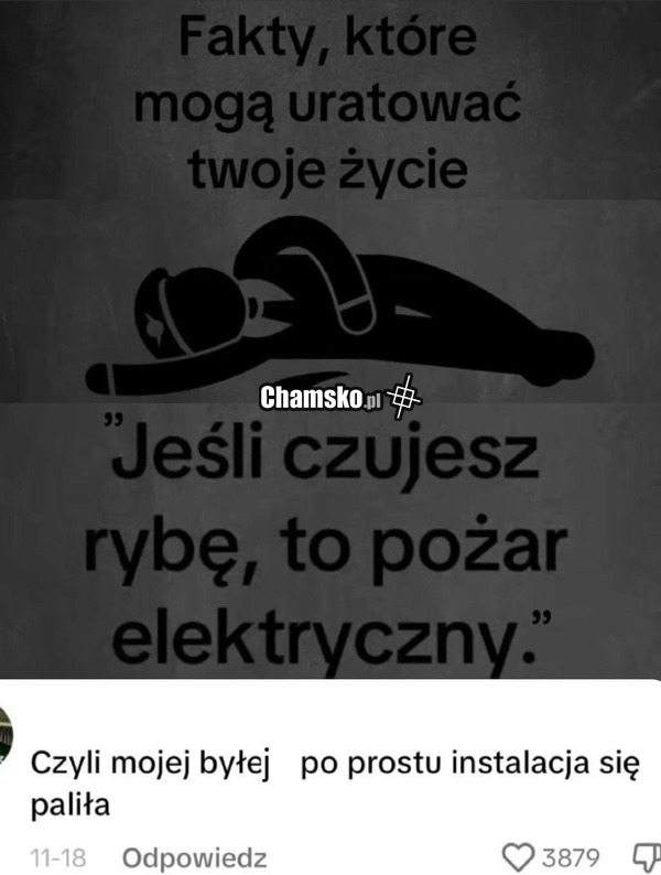 Czujesz rybę?