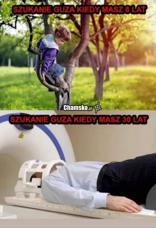 Szukasz guza?