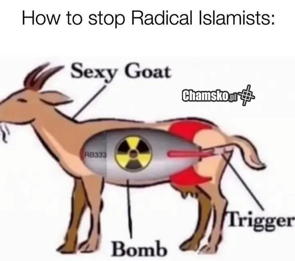 Jak zatrzymać radykalnych islamistów: