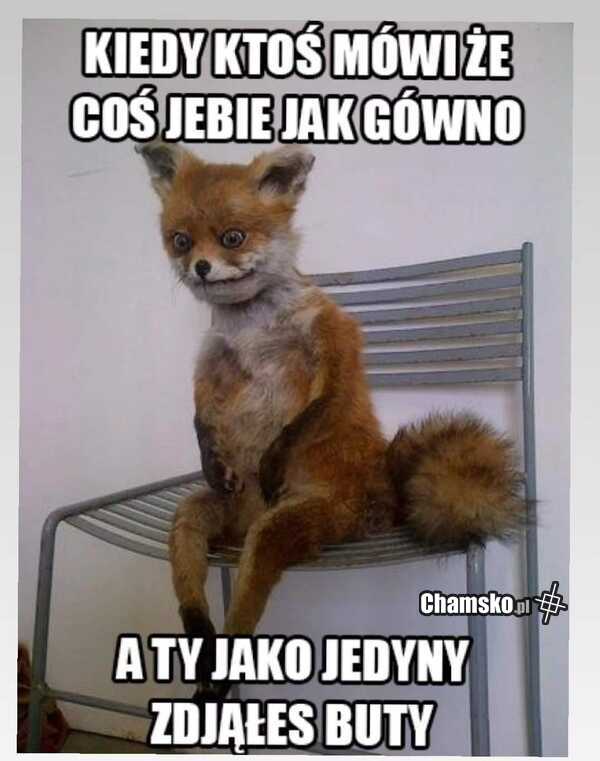 Co tak wali?