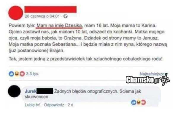 Niezła ściema