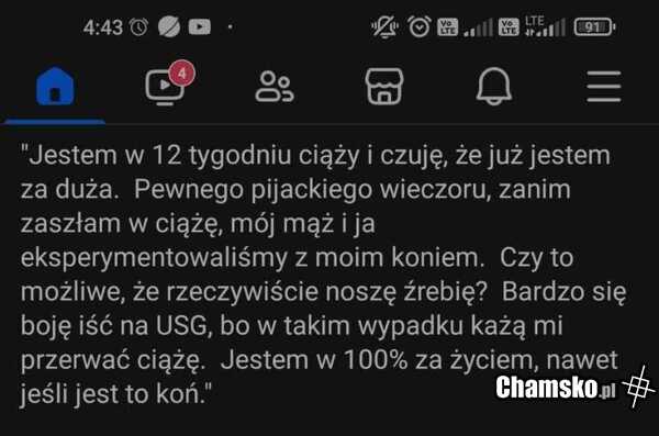 Spory problem