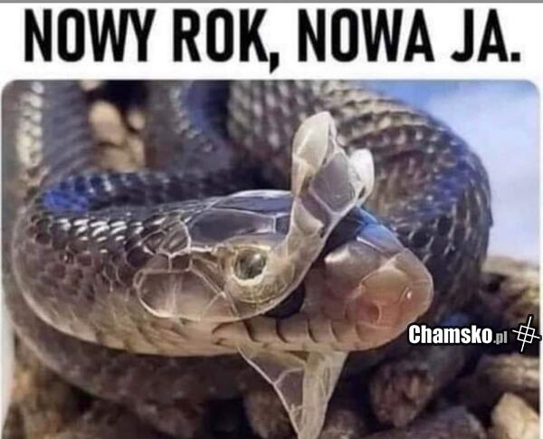 Nowy rok nowa ja