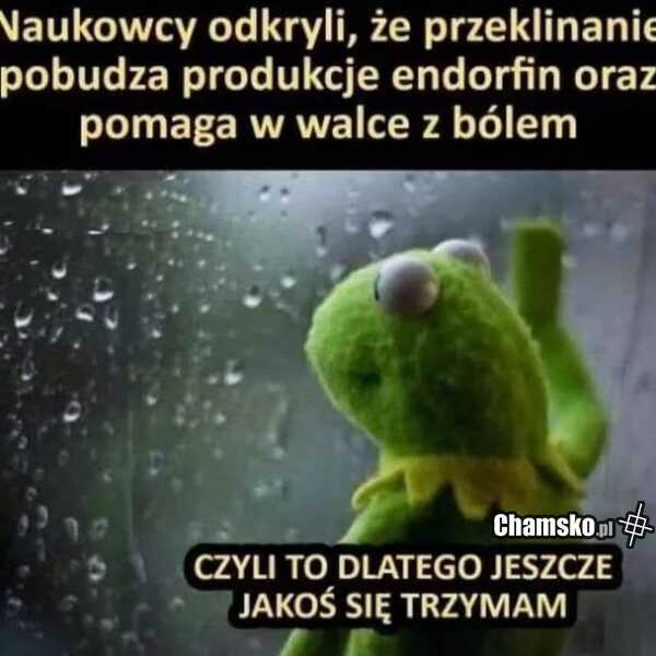 Przeklinanie