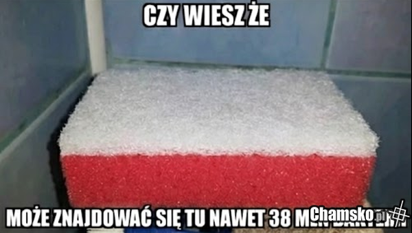 największe źródło bakterii na świecie