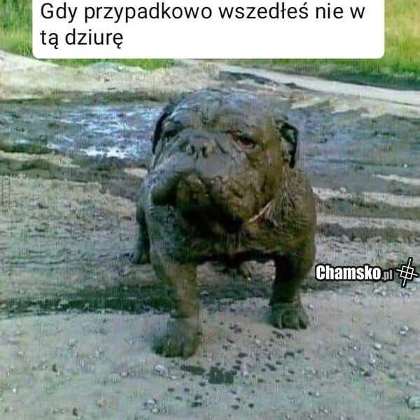 Zła dziura