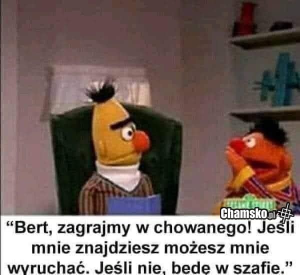 Zabawa w chowanego