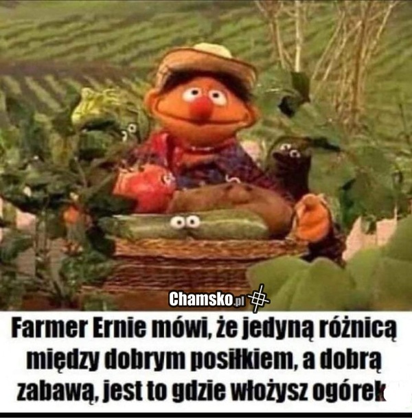 Mała różnica