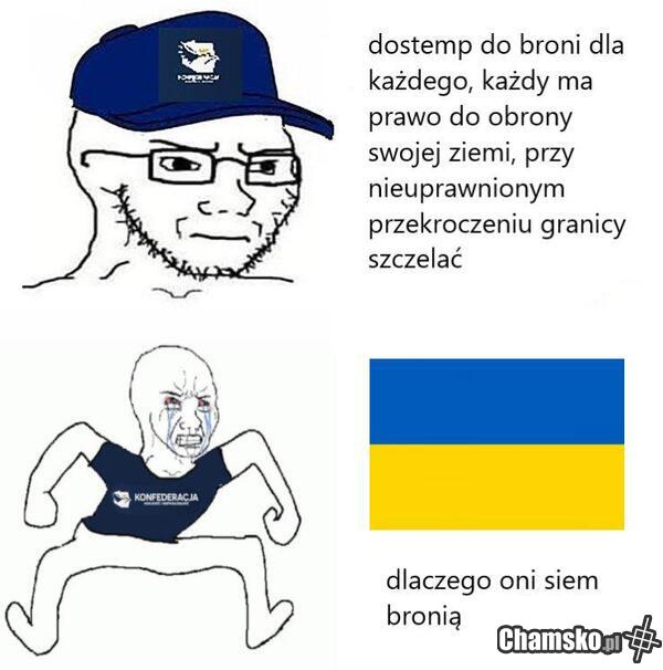 typowy użytkownik chamsko.pl