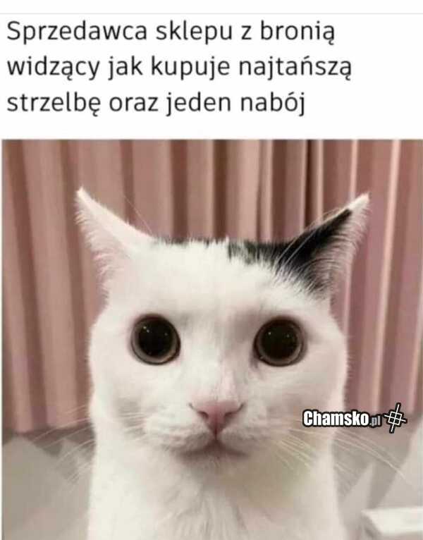 Zakup broni