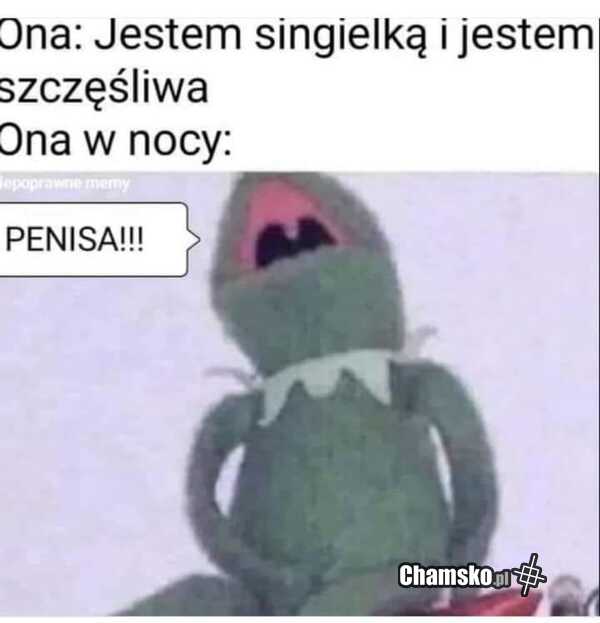 Szczęśliwa singielka