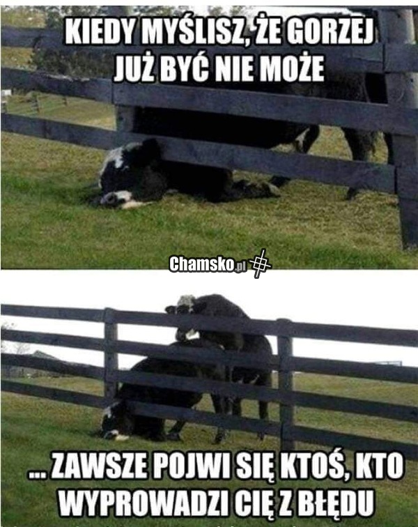 Gorzej być nie może