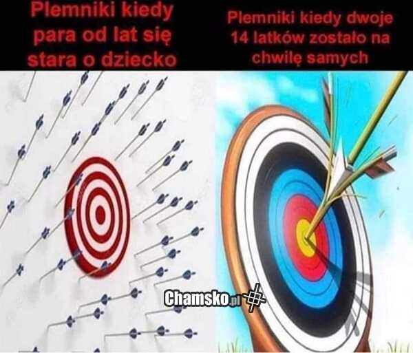 Logika plemników