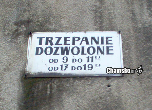 Trzepanie