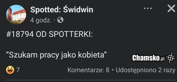 Szukam pracy