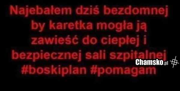 Pomoc bezdomnej