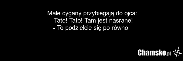 Małe cygany przybiegają do ojca: - Tato! Tato! Tam jest nasrane! - To podzielcie się po równo