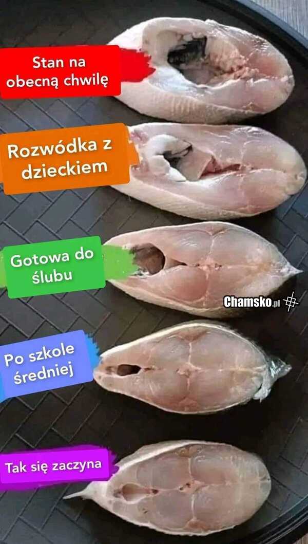 Etapy w życiu