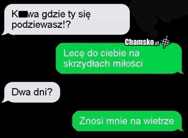 Gdzie jesteś?