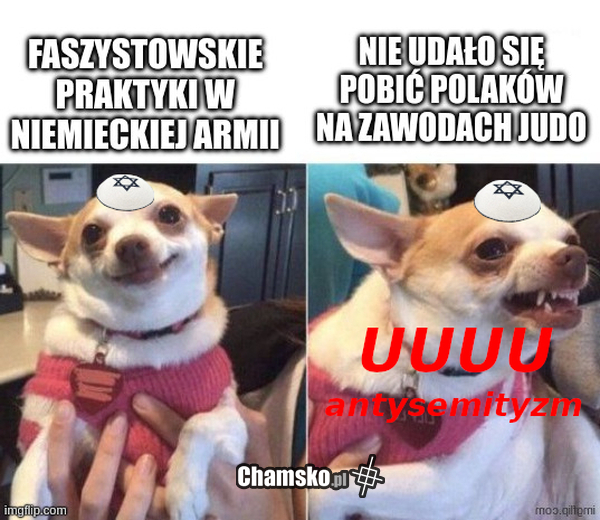 rzymianie w akcji