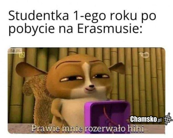 Studentka