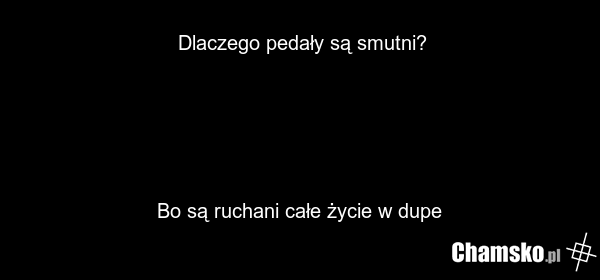 Dlaczego pedały są smutni? Bo są ruchani całe życie w dupe
