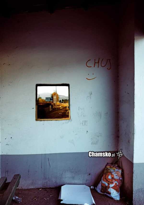 Chata admina chamsko.pl