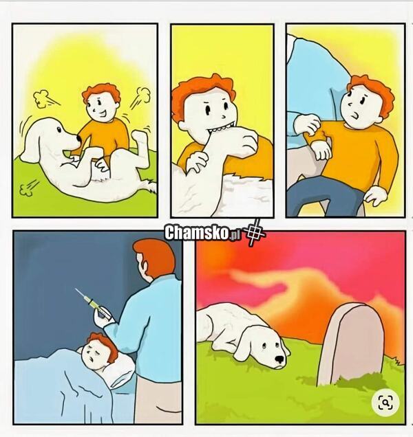 Zastrzyk po ugryzieniu
