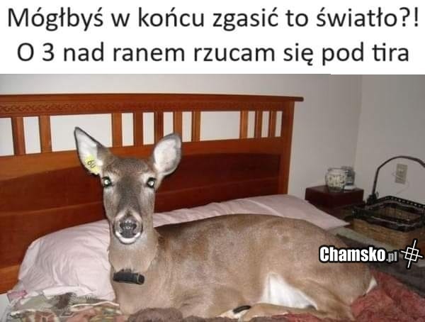 Plan na rano
