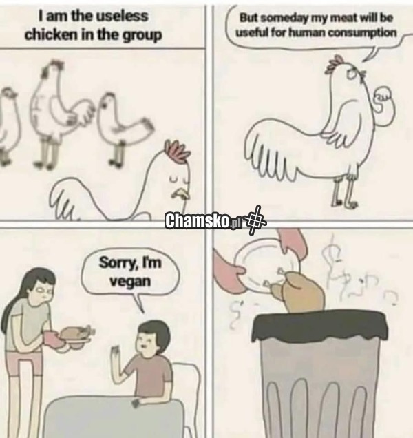 Gdy veganin przyjdzie do restauracji