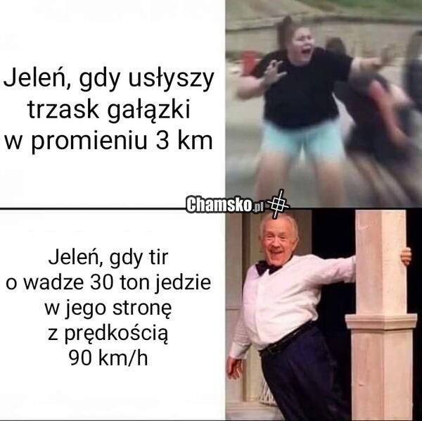 Jelenie