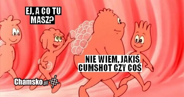 Co tu masz?