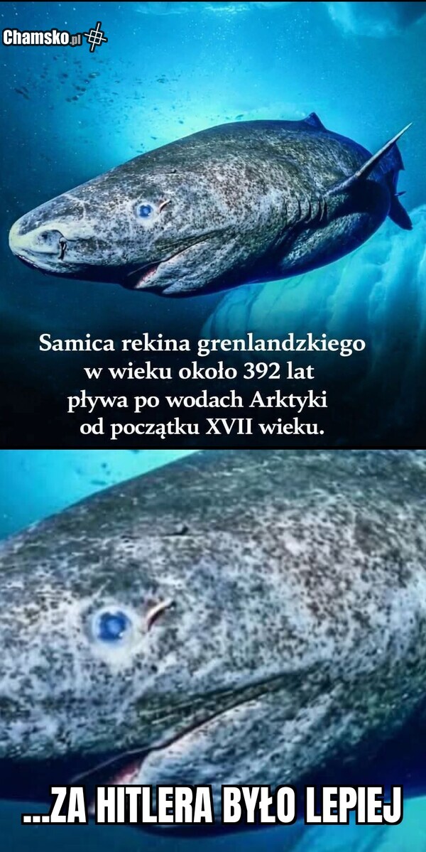 Kiedyś to było