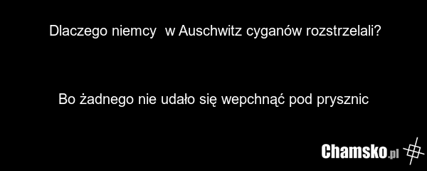 Dlaczego niemcy w Auschwitz cyganów rozstrzelali? Bo żadnego nie udało się wepchnąć pod prysznic