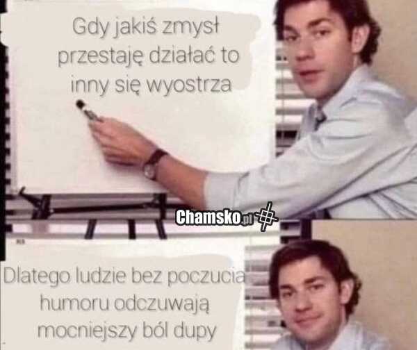 Zmysły