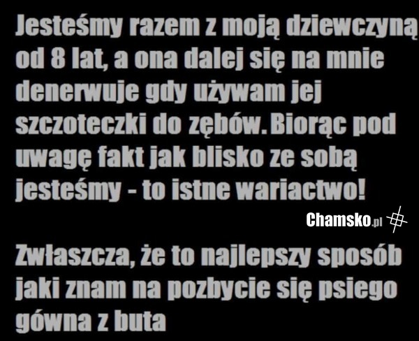 Szczoteczka
