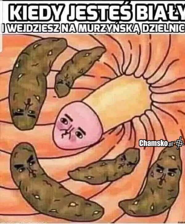 Czarna dzielnica