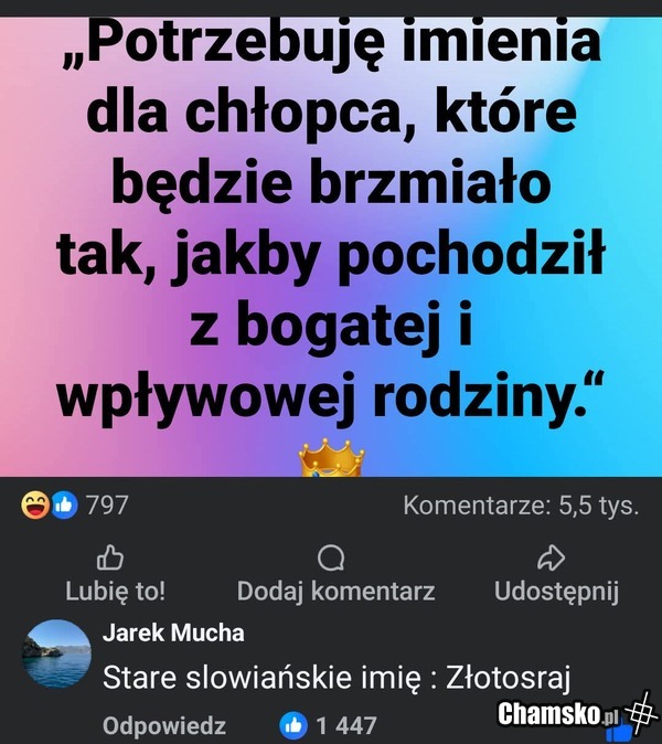 Kreatywność lvl. max