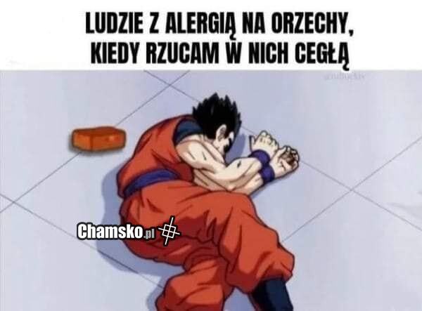 Alergia