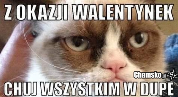 Z okazji walentynek