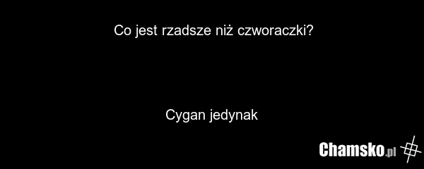 Co jest rzadsze niż czworaczki? Cygan jedynak