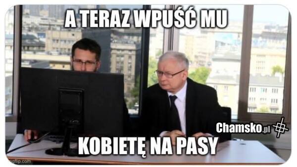 polityka