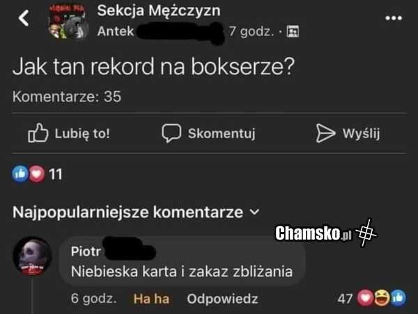 Bokser