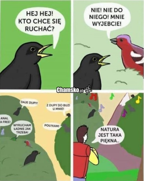 Natura jest piękna