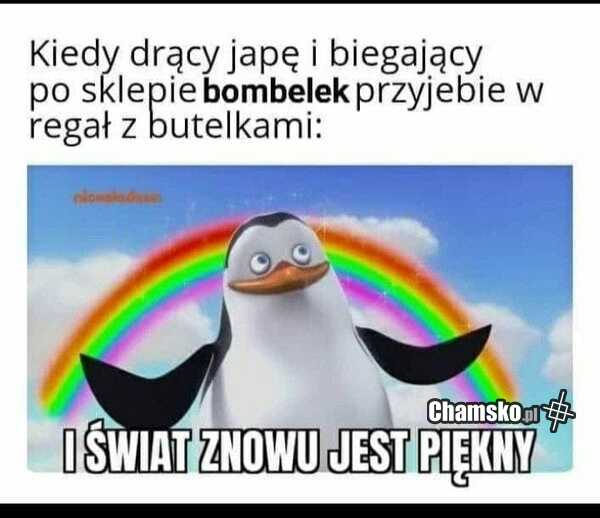 Piękny świat
