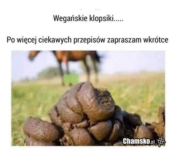 Wegańskie klopsiki