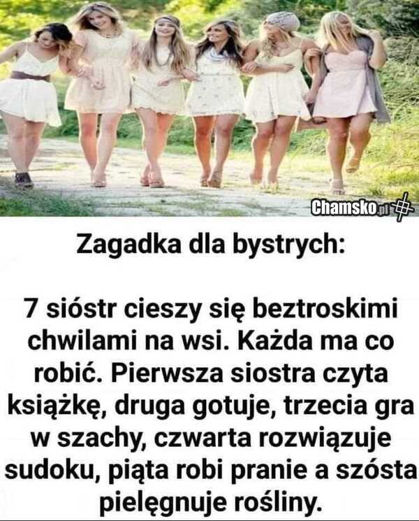 Zagada dla bystrych