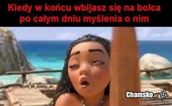 Bolec