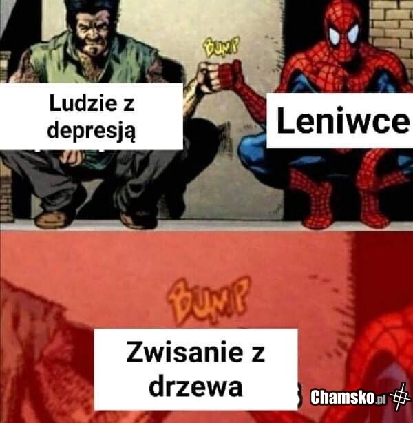Podobna cecha